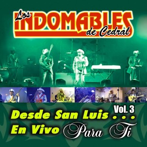 ดาวน์โหลดและฟังเพลง Tampico Hermoso (En Vivo) พร้อมเนื้อเพลงจาก Los Indomables de Cedral