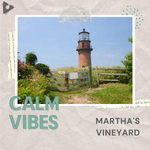 Album Martha's Vineyard from Calm Vibes