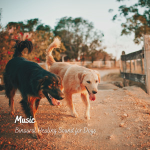 Album Music: Binaural Healing Sound for Dogs from Sleeping Music For Dogs