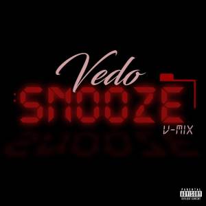 VEDO的专辑Snooze (VMix)
