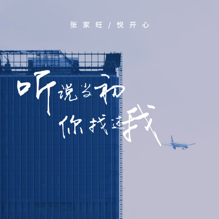 听说当初你找过我 (DJJLHN版)