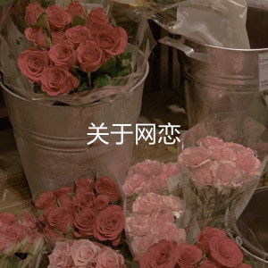 Listen to 关于网恋 song with lyrics from 清浩