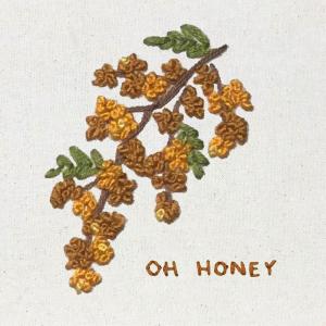 收聽Neighbor Lady的Oh Honey歌詞歌曲