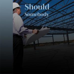收听Wils Saman的Should Somebody歌词歌曲