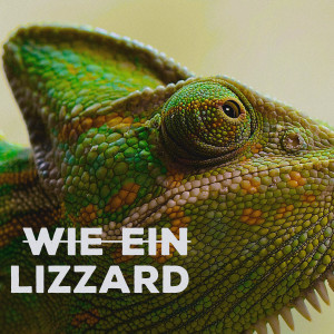 Lazy Lizzard Gang的专辑Wie ein Lizzard