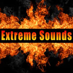 ดาวน์โหลดและฟังเพลง Savage Beast Growls พร้อมเนื้อเพลงจาก Sound Ideas