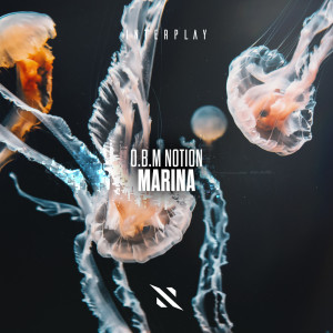 ดาวน์โหลดและฟังเพลง Marina พร้อมเนื้อเพลงจาก O.B.M Notion