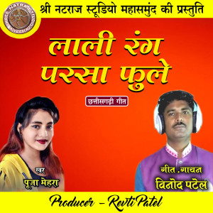 Album Lali Rang Parsa Fule (Chhattisgarhi Geet) from Vinod Patel