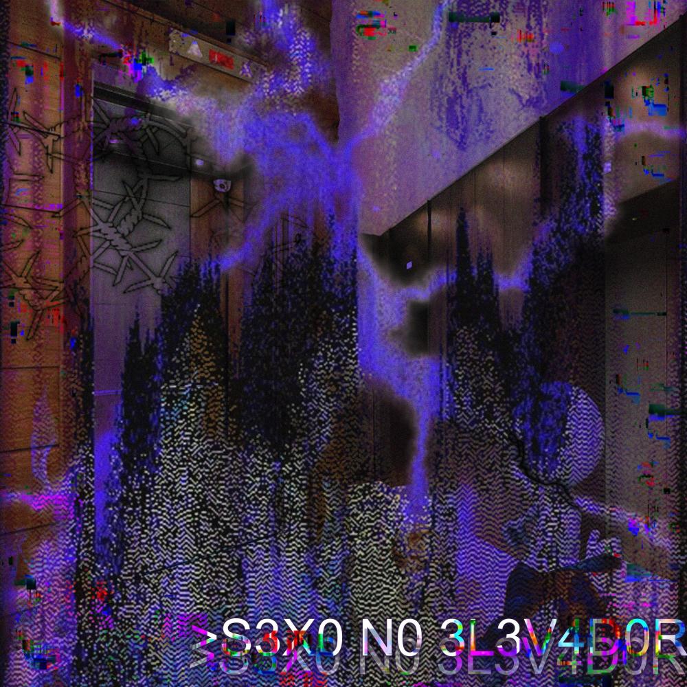 S3X0 N0 3L3V4D0R (Explicit)