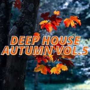 Various Artists的專輯Deep House Autumn Vol.5
