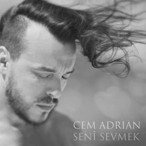 Cem Adrian的專輯Seni Sevmek
