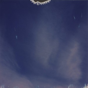 Listen to Sunflower Dream song with lyrics from Darren Harper