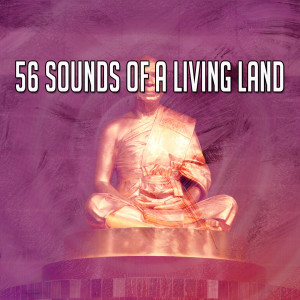 Listen to Vanquish Darkness song with lyrics from Meditation Spa
