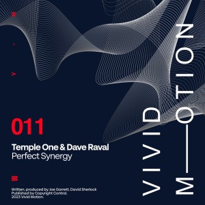 Album Perfect Synergy from Dave Raval