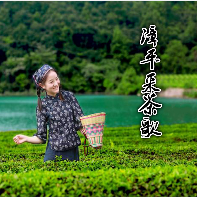 漳平采茶歌 (完整版)
