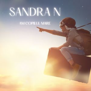 Album Am copilul mare from Sandra N.