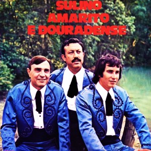 ดาวน์โหลดและฟังเพลง Quem Vai Te Deixar Sou Eu พร้อมเนื้อเพลงจาก Sulino