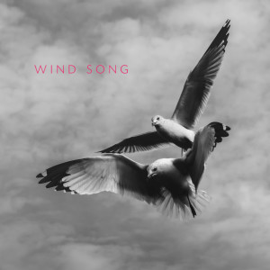 Album Wind Song (Island Wave Version) from Momento