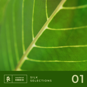 Various的专辑Silk Selections 01