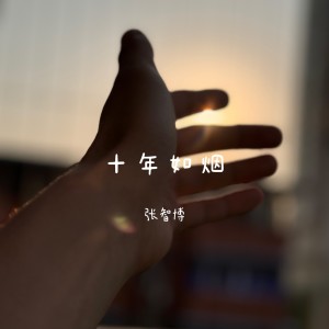 Album 十年如烟 from 张智博