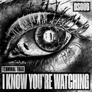 ดาวน์โหลดและฟังเพลง I Know You're Watching พร้อมเนื้อเพลงจาก Terminal Trax