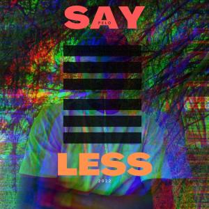 ดาวน์โหลดและฟังเพลง Say Less พร้อมเนื้อเพลงจาก Pelo
