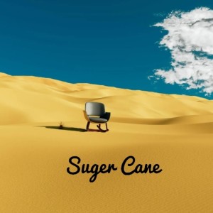 Suger Cane