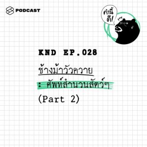 ดาวน์โหลดและฟังเพลง คำนี้ดี EP.28 ช้างม้าวัวควาย: ศัพท์สำนวนสัตว์ๆ (Part 2) พร้อมเนื้อเพลงจาก ดารานักร้องหลายคน