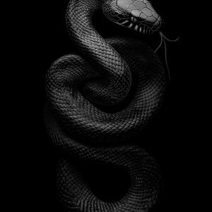 收聽Fabinho的Serpenti (Radio Edit|Explicit)歌詞歌曲