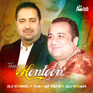 Terey Hontoon Ko Salaam (feat. DJ Chino)