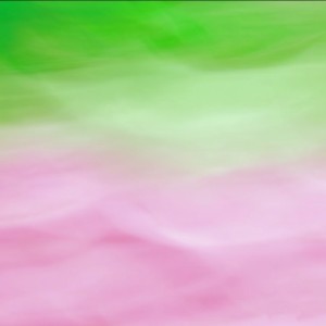 Album 粉荔枝pt.2 from MIKO