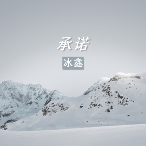 冰鑫的专辑承诺