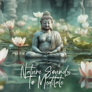 Listen to Eternity of Nature song with lyrics from Nature Zone
