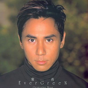 ดาวน์โหลดและฟังเพลง Liu Jin Sui Yue พร้อมเนื้อเพลงจาก Christopher Wong