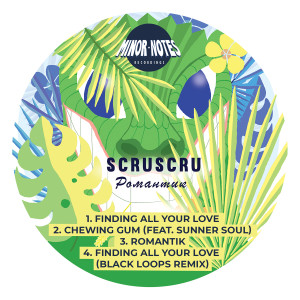 Listen to Romantik song with lyrics from Scruscru
