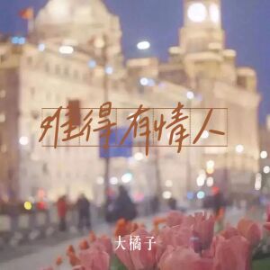 Album 难得有情人 from 大橘子