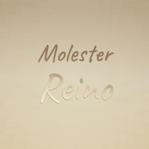 Album Molester Reino from 
