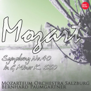 收聽Mozarteum Orchestra Salzburg的Symphony No.40 in G Minor, K. 550: Molto Allegro - Andante - Menuetto - Allegro Assai歌詞歌曲