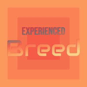 Album Experienced Breed from Various