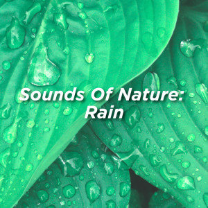 收聽Rain Sounds的Rain Sounds No Thunder歌詞歌曲