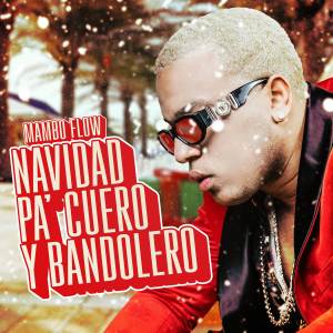 Mambo Flow的专辑Navidad Pa' Cuero y Bandolero