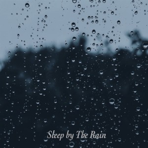 Album Sleep By The Rain oleh Rain for Deep Sleep
