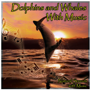 收聽Natural Sounds with Music的Dolphins and Whales with Relaxation Music歌詞歌曲
