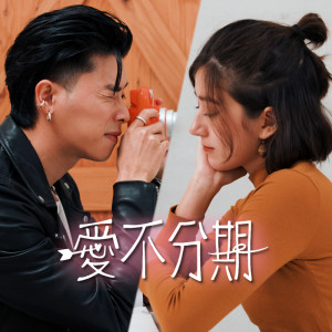 收听金鱼脑的爱不分期歌词歌曲
