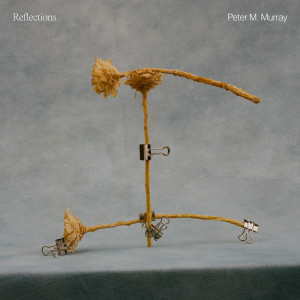 Peter M. Murray的專輯Reflections