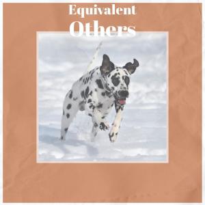 Album Equivalent Others from 