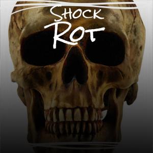 Various的专辑Shock Rot