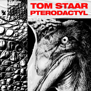 Tom Staar的專輯Pterodactyl
