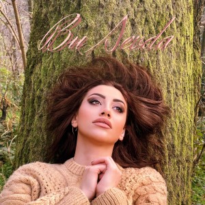 Listen to Bu Sevda song with lyrics from Nur Usta