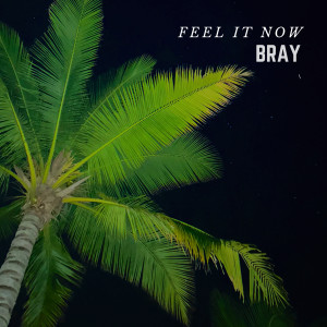 Listen to Feel It Now song with lyrics from Bray